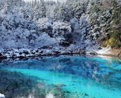 Humble Administrator’s Garden