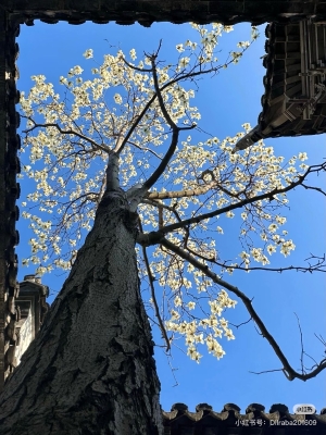 新增02Xi’anence,"our of "Traditional Chinese CultureExperience Tour of Traditional Chinese CultureExperience Tour of Traditional Chinese CultureExperien