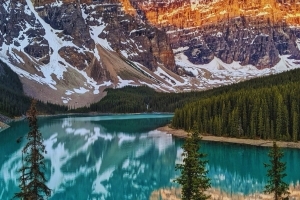 Zodiac Sign of the Rabbit, Forth of the Chinese Zodiac Zodiac Sign of the Rabbit, Forth of the Chinese Zodiac Zodiac Sign of the Rabbit, Forth of the 