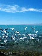 0320验证日程不显示