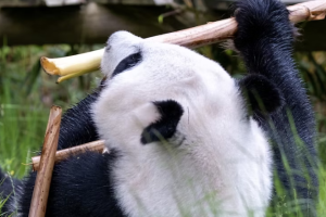 Cinq jours de voyage à Shanghai